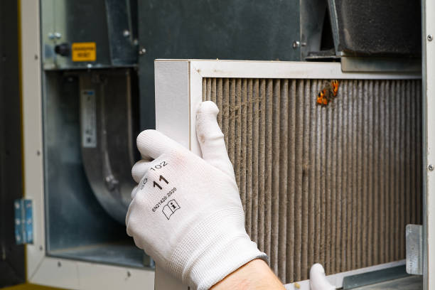 Best Home Air Vent Cleaning  in Harvey, IL
